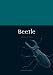 Beetle (Animal)