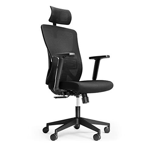 Novilla Silla ergonómica de Escritorio, Soporte Lumbar Ajustable, Silla giratoria con reposacabezas Regulable y extraíble, Respaldo Alto de Malla, Sillas oficinas para Trabajo y Estudio, Experto