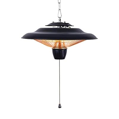 DONYER POWER 1500W Outdoor/Indoor Electric Patio Heater, Ceiling Mounted, Iron