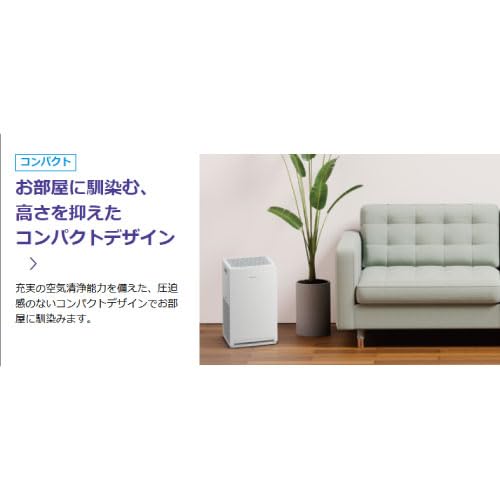 Amazon.co.jp: ストリーマ空気清浄機 55タイプ 2026年モデル ~25畳対応