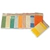 Delphi Glass 10 Count Transparent Enamel Assortment for Metals