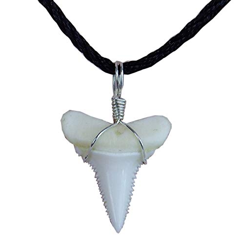 GemShark Cool Shark Tooth Necklace for Boys Small Great Megalodon Tooth White Sterling Silver Black Choker Charm Pendant Surfer Beach Chain Also Dangle Bracelet Bead Pendant 0.8inch Tooth