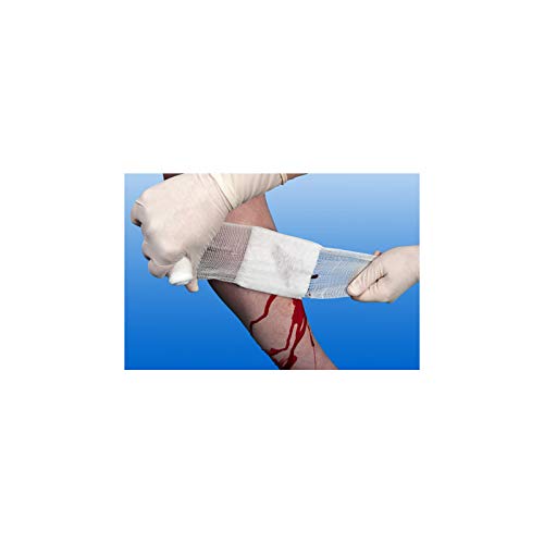 NOBA 10x Verbandspackung Verbandspakete Verband, steril, DIN13151 Erste Hilfe SL - L/groŸ