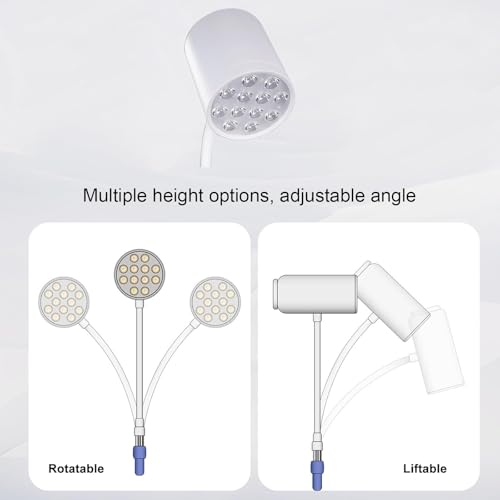 Lampe chirurgicale LED mobile 12W pour examens médicaux