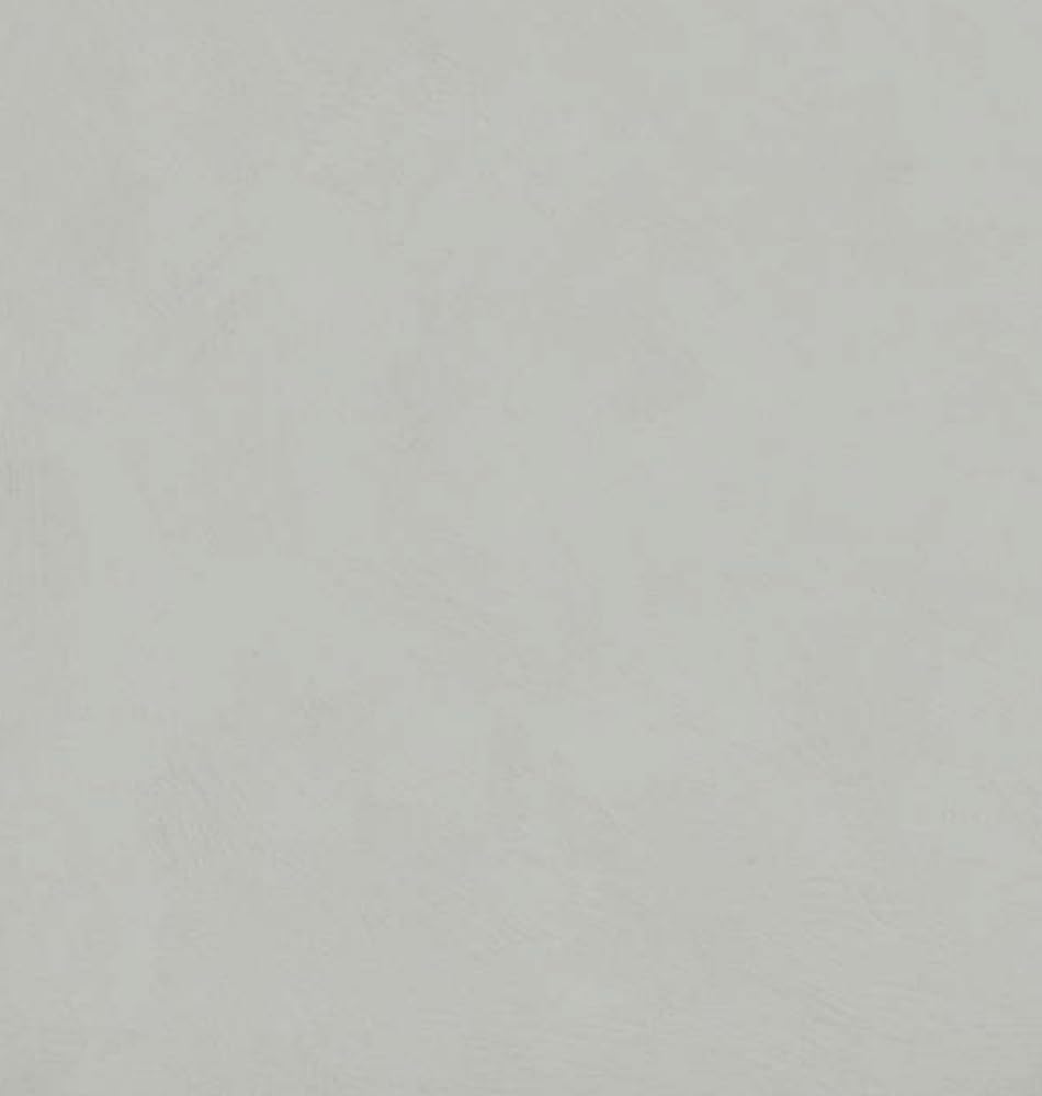 Stucco Lamundo Venetian Plaster | Glossy Lime Based Plaster | Decorative Plaster For Interior Surfaces (Balboa Gray)