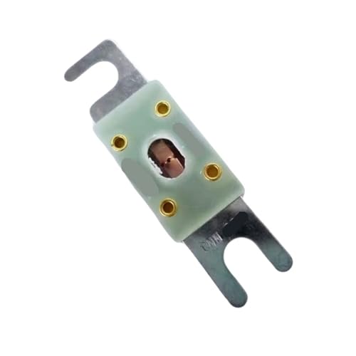 Fusible automobile 100A pour fusible de puissance 12V 24V de rechange voiture