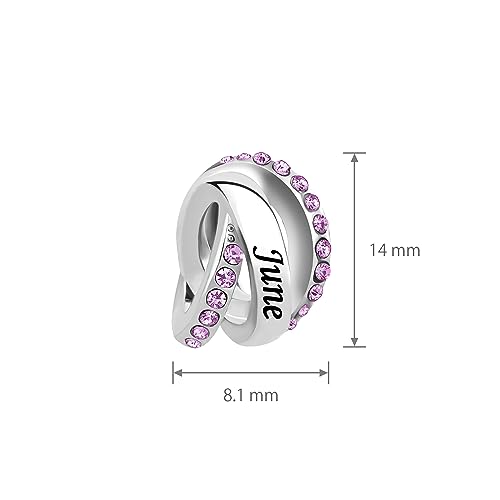 Image of LSxAB Birthstones Charms fits Pandora Bracelet for Women Happy Birthday to January-December Charm for Bracelet Necklace Pendant for Women Jewelry