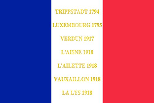 Drapeau Large 169e régiment d infanterie pour collectionneur et commémoration