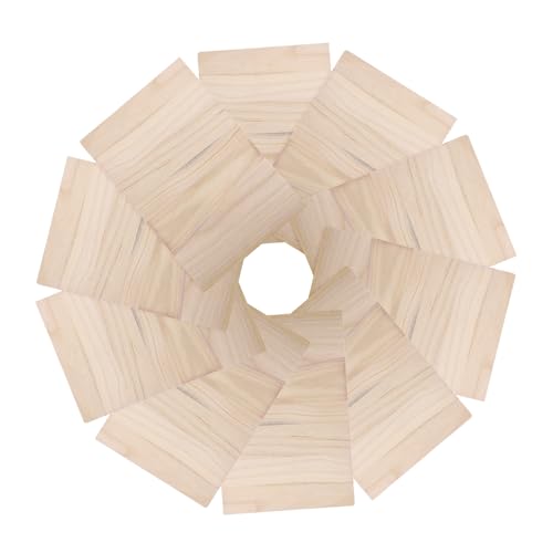 ibasenice 20pcs Performance Board Breaking Boards Punches Martial Arts Training Equipment Practicing Taekwondo Boards Daily Punching Boards Convenient Taekwondo Boards Kicking Wood