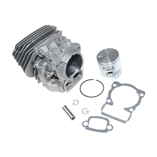 V_[sXgLbg 43mm CS2252 CS2253 CS2253WH 577764706 577764708 577764707 jo[TK[fc[