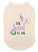 The Hunt is On - Egg Hunt Dog Shirt (Natural, Large)