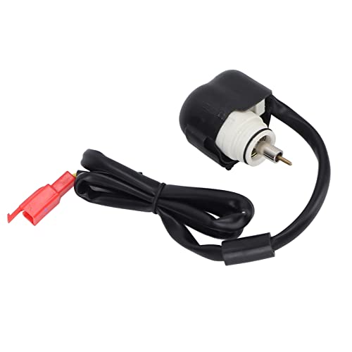 Startervergaser, 12V Vergaser Automatische Elektrischer Choke, E-Choke Vergaser Kaltstartautomatik, Vergaser Elektronischer Dämpfer für FLY 125, Typhoon 125, ZY 125, WH 100