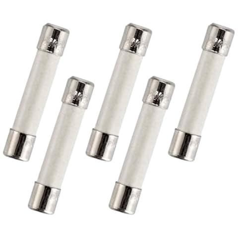 TECHMAN Microwave Ceramic Slow-Blow Fuse, 20 Amp 250V Universal Replacement for GE WB27X10388, Whirlpool, Kenmore, and Other Microwave Ovens, 6mm x 30mm (5-Pack) Cover