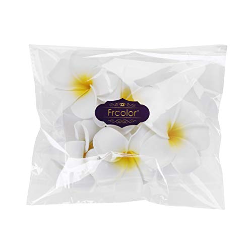 Frcolor Women's Hawaiian Plumeria Flower Hair Clip Wedding Bridal Hairpin Barrette Hair Accessories - 10 Pieces #TOP4
