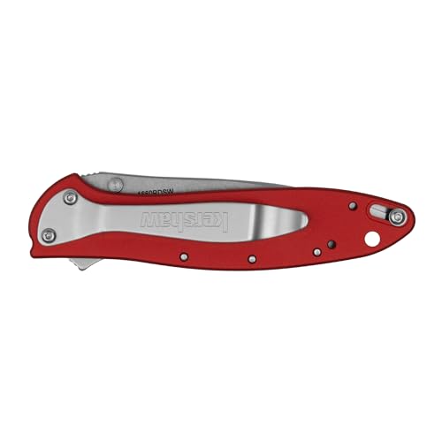 Image of Kershaw Leek, BlackWash Pocket Knife (1660BLKW); 3 Sandvik 14C28N Steel Blade, 410 Stainless Steel Handle, BlackWash Finish, SpeedSafe Assisted Open, Frame and Tip Locks, Reversible Pocketclip; 3 OZ