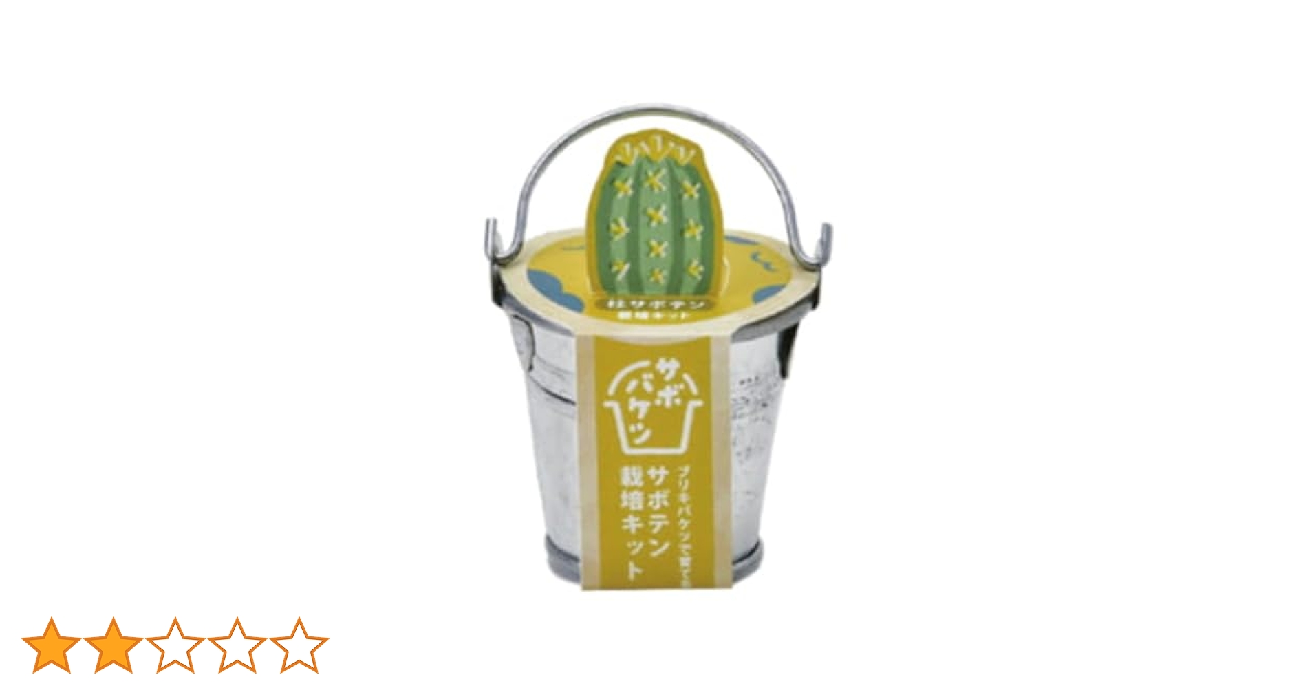 Amazon｜聖新陶芸 サボバケツ 栽培キット 柱サボテン サイズ：約