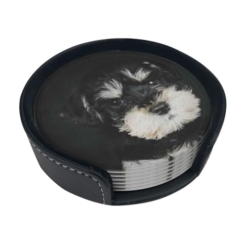 �R�[�X�^�[ �~�j�`���A�E�V���i�E�U�[�̎q�� �~�` ������� �f�M �e�[�u���ی� ���p�b�h �h�����N�R�[�X�^�[ Pu ���� ����~�� ���z�����蕨 �䏊 �I�t�B�X�p 6��/�Z�b�g ���[�P�[�X�t��