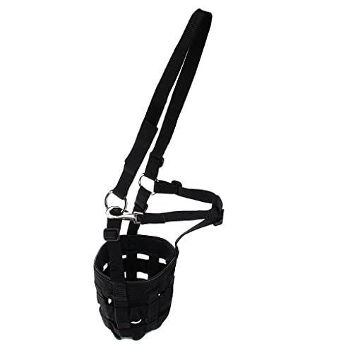 Muserolle pour cheval harnais têtière collier tête pour l'élevage