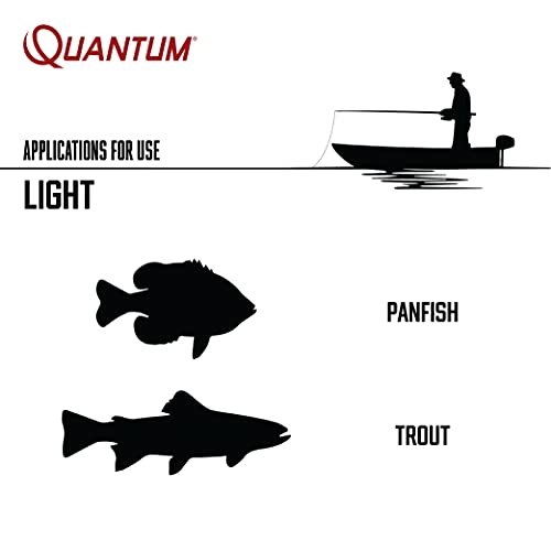 Quantum Qx36 Spinning Fishing Rod, 5-Foot 6-Inch 2-Piece Im7 Graphite Fishing Pole, Split-Grip Cork Handle, Dynaflow Aluminum-Oxide Guides, Fast Action, Light Power, Silver #TOP4
