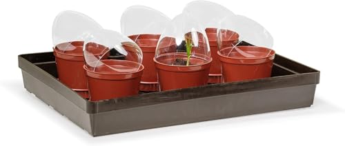 Kimmel Anzuchttöpfe mit Feuchtigkeitskuppel/Deckel 6 Stück im Set Blumentöpfe Pflanztöpfe, Braun