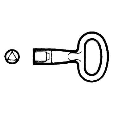 Schneider Electric Nsylt8 Llave Metálica Para Inserto Triangular, 8 Mm