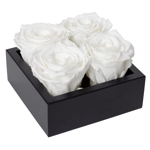 Forever Roses | Flowers Delivery | Everlasting Roses for Valentines Day Gift | Mothers Day Birthday Flowers | Fresh Natural Forever Flowers That Last for Years | Preserved Roses in Box | 4 White Roses Cover
