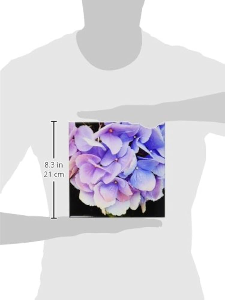 Amazon.com: 3dRose ct_28337_3 Purple Hydrangea Ceramic Tile, 8