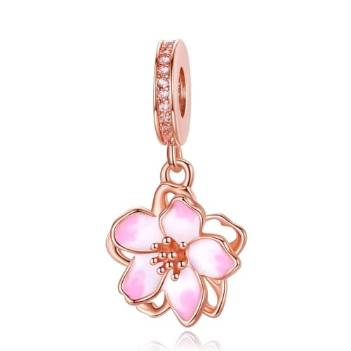 10 Pack Silver Charms for Pandora Bracelets and Necklaces Charms for Women CZ Pendant Jewelry Charm Set4