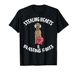 braco de weimar cachorro precio Ligero, Encaje clasico, Manga de doble puntada y bastilla baja