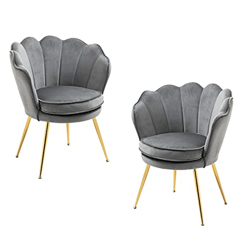 Set of 2 Mode Accent Velvet Chairs Comfy Upholstered Vanity Chairs for Bedroom Armchair Dining Chairs with Golden Metal Legs Desk Chair no Wheels Makeup Chairs for Living Room (Warm Grey Small)