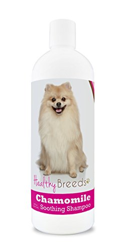 Healthy Breeds Chamomile Dog Shampoo & Conditioner With Oatmeal & Aloe For Pomeranian-Over 200 Breeds-8 Fluid_Ounces-Gentle For Dry Itchy Skin-Safe With Flea And Tick Topicals