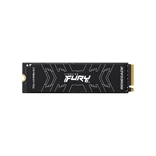 Kingston FURY Renegade PCIe 4.0 M.2 SSD 4TB
