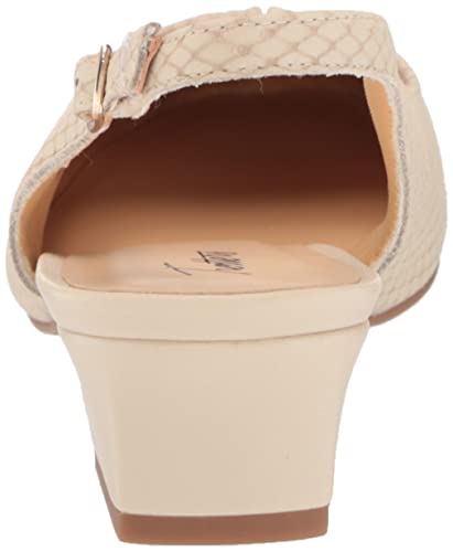 Image of Trotters