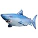 Jet Creations Shark Inflatable Life Like 84 inches Long Party Photo Prop Gift Novelty AL-Shark