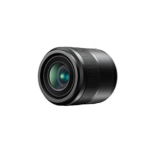 Panasonic LUMIX H-HS030E 30 mm Macro Camera Lens – Black