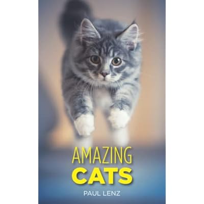 Amazing Cats