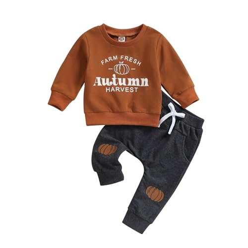 Baby Boy Fall Clothes Toddler Boy Halloween Outfit Patch Pumpkin Sweatshirt Long Sleeve Shirt Top (Brown, 2-3 Years)