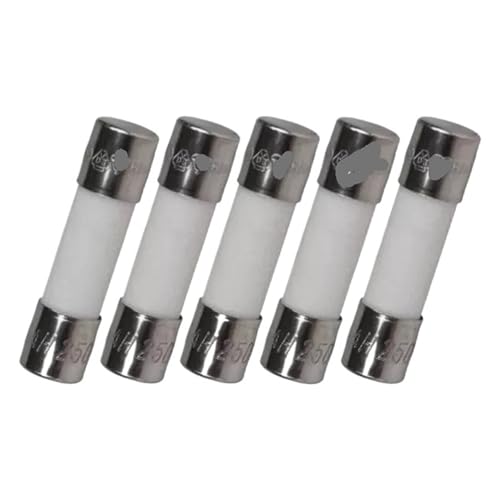 Fusible T10A H250V en lot de 5 pièces pour la protection des circuits électriques
