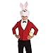 fun shack White Rabbit Costume for Kids, Boys and Girls Rabbit Outfit, Cute Kids Bunny Costume for Dress Up, Medium