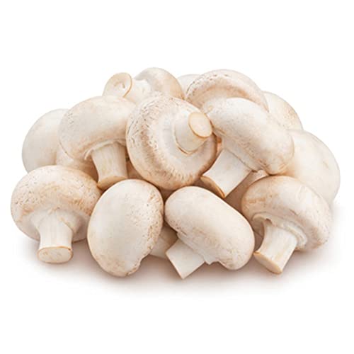Napacoh Graines de Champignons 300 Pcs/Sac-Comestible Facile à cultiver Productive Excellente Production de graines de Plantes pour Le Jardin Blanc Cover