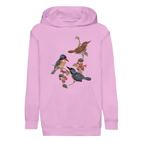 Sweat à capuche enfant oiseaux exotiques : la qualité premium d'une illustration ancienne