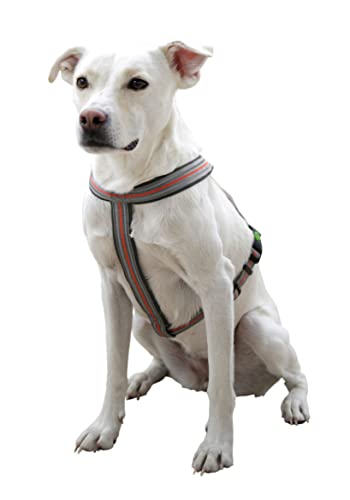 Kerbl Pet Xenos Harness 15 mm x 30-40 cm Grey/Red, grey|red, 15mmx 30-40cm - Image 3