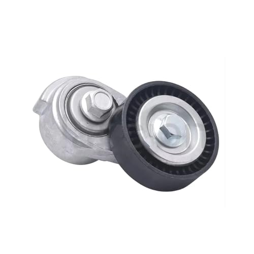 Galet tendeur de courroie pour moteurs Buick 12595289 auto