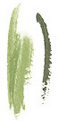 Mary Kay At Play Shadow & Liner in Mint To Be - 084189
