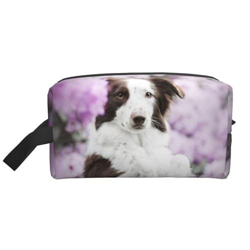 F̃{[_[ R[ tԂƌ σ|[`  RX|[` gx|[`  ʗp o @\I y Aj v[g