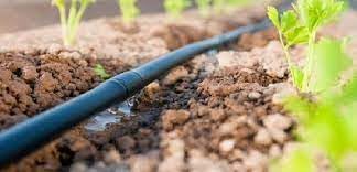 IBEROGARDEN | TUBERIA CON GOTEROS INTEGRADOS AUTOCOMPENSANTE | RIEGO GOTEO | DIAMETRO 20 milimetros | ROLLOS 250 METROS (50 Centimetros separacion)