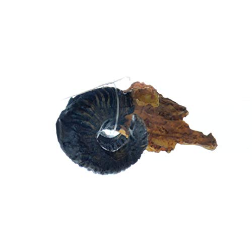 NOMOYPET NS-92 CRÂNIO BODE 5X4,5X2,5CM