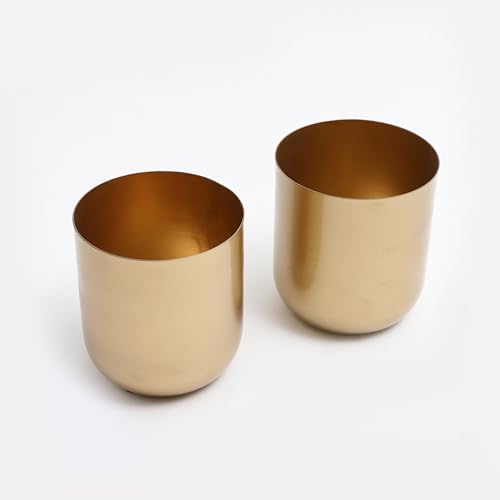 Castleore Gold Finish Small Size Metal Planter Set Of 2 For Table Indoor Plants Like Snake/Money/Bamboo/Palm Plant thumb #8