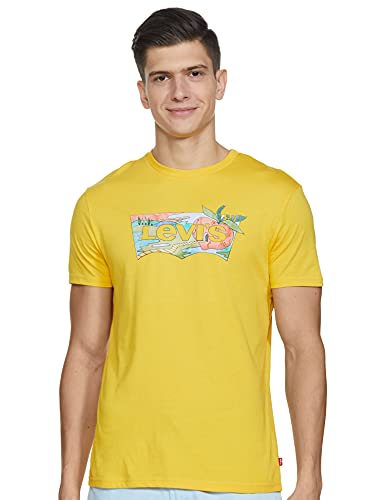 Levi's Men's Regular Fit Graphic T-Shirt