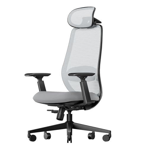 Image of ProtoArc Ergonomic Home Office Chair